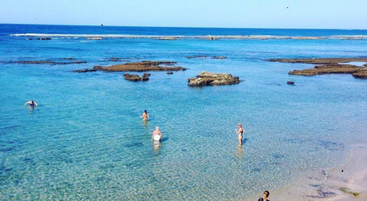 Alisio 51 Playa De Las Canteras Las Palmas de Gran Canaria Dış mekan fotoğraf